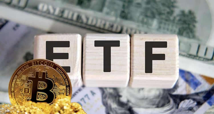 比特币现货ETF通过利好哪些币种？-第1张图片-华展网
